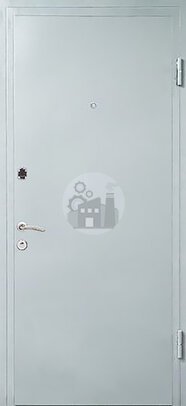 входная дверь, окрашенная нитроэмалью с двумя замками-ДВ-193