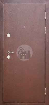 металлическая антивандальная дверь в частный дом -ДВ-748